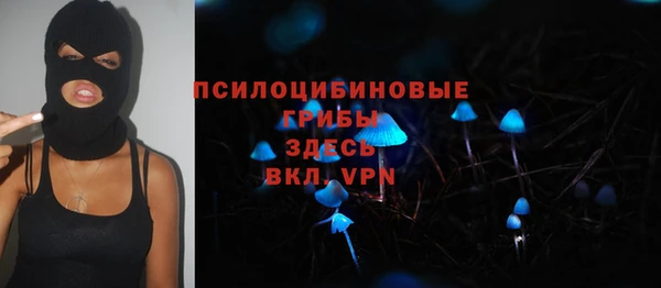 PSILOCYBIN Дмитровск